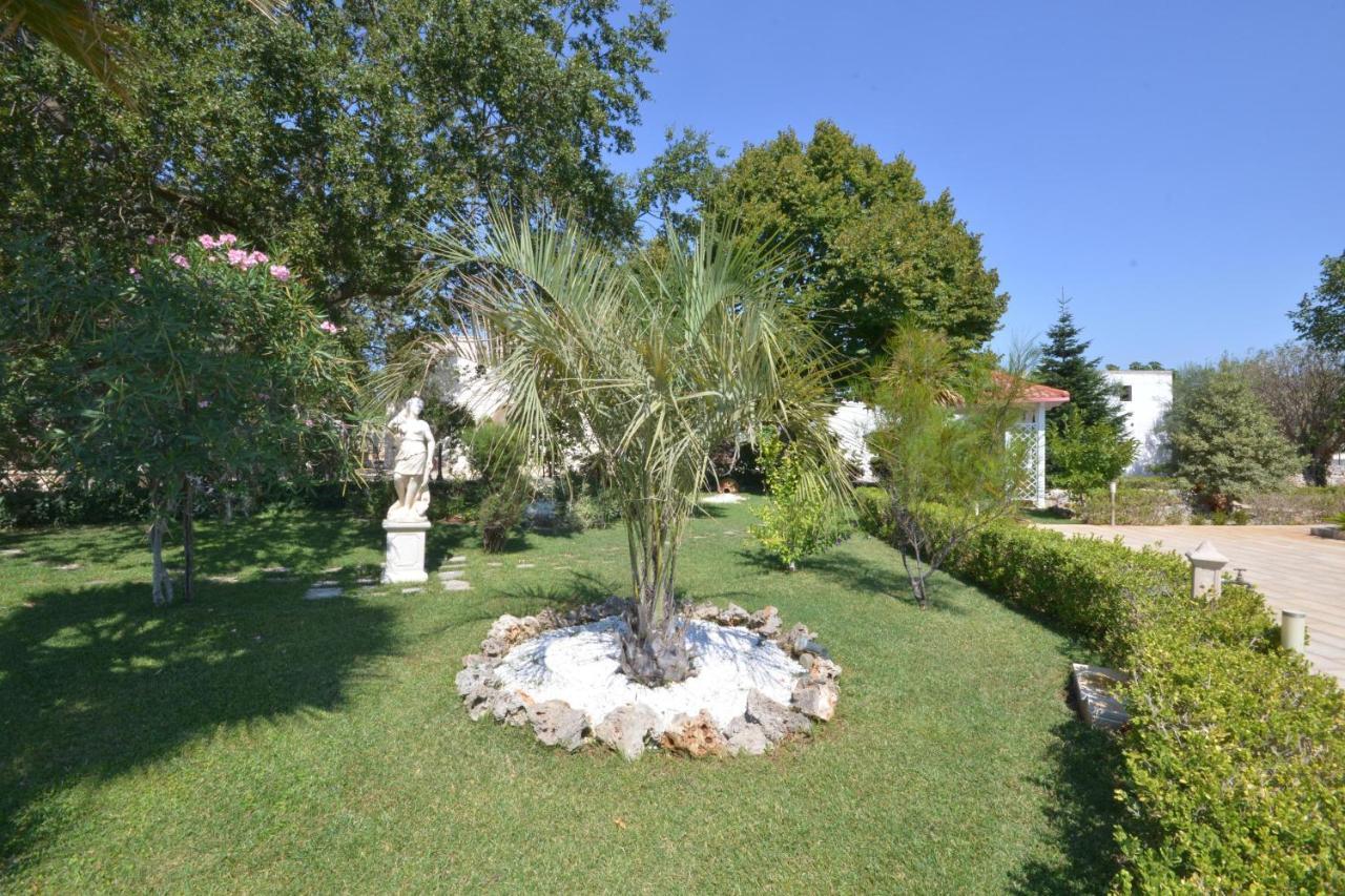 Bed and Breakfast Trulli Petra Chiara Locorotondo Esterno foto